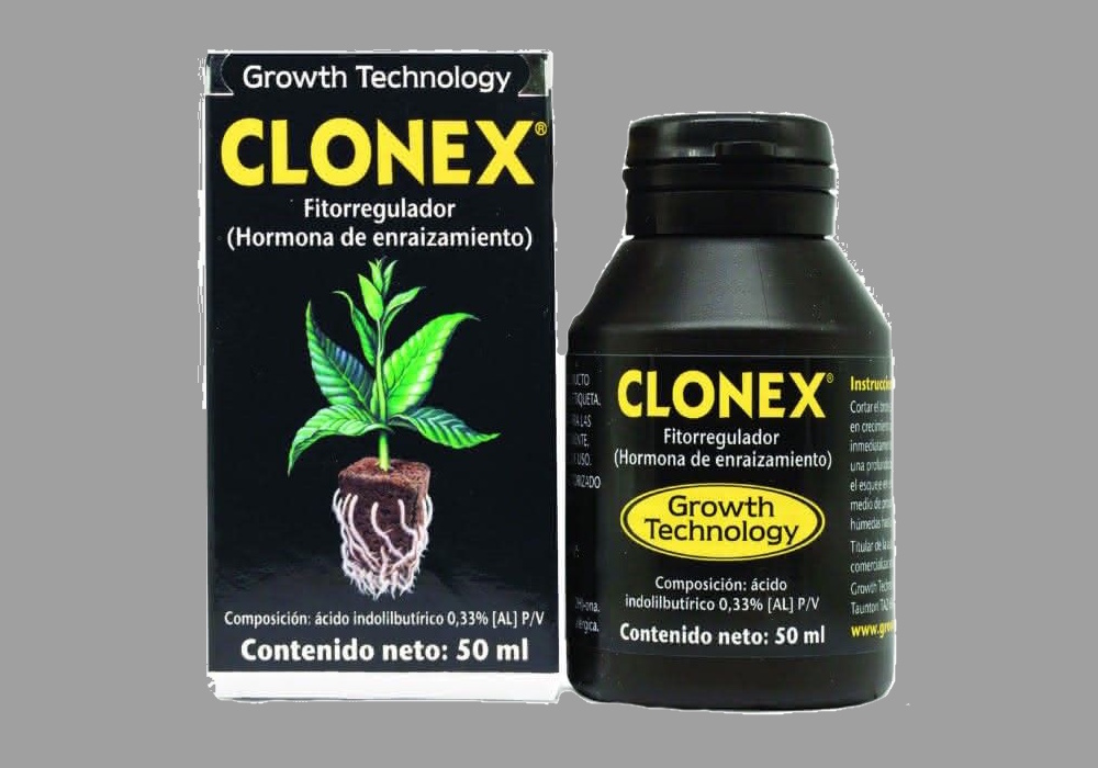 Stecklingsdünger – Bewurzelungshilfe