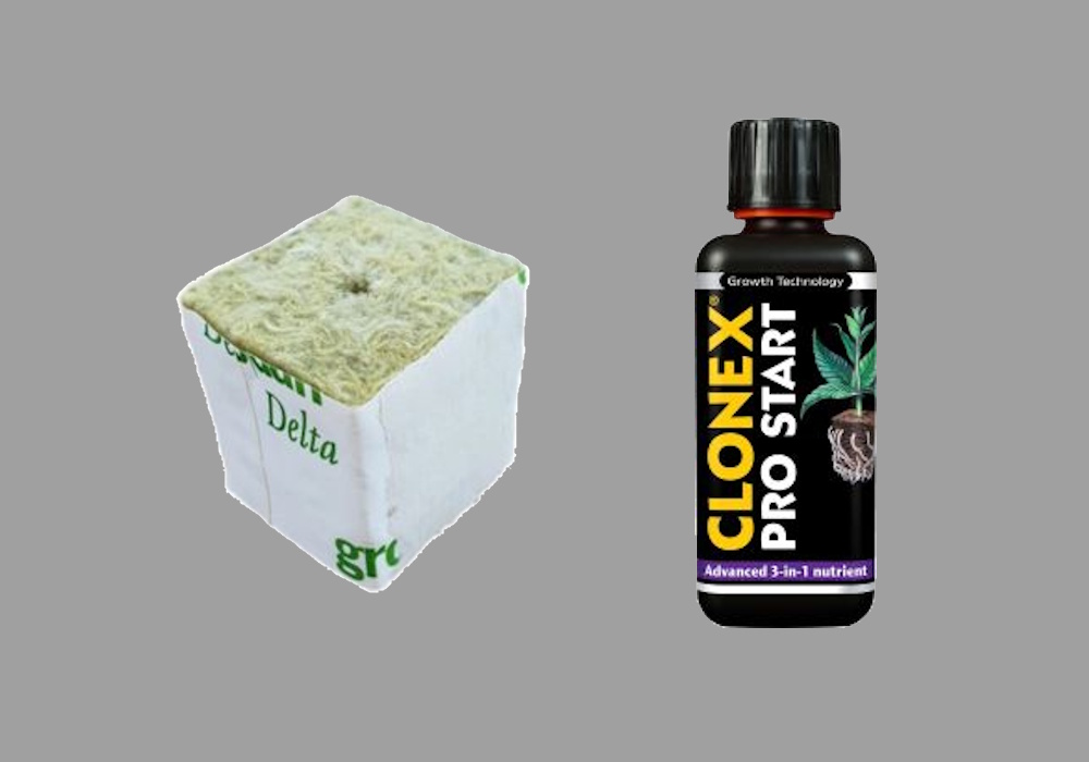 Anzuchtsubstrate – Eazy Plug, Steinwolle und Wachstumsregulatoren