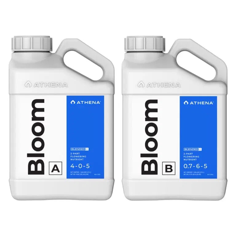Athena Bloom A + B 1 Liter